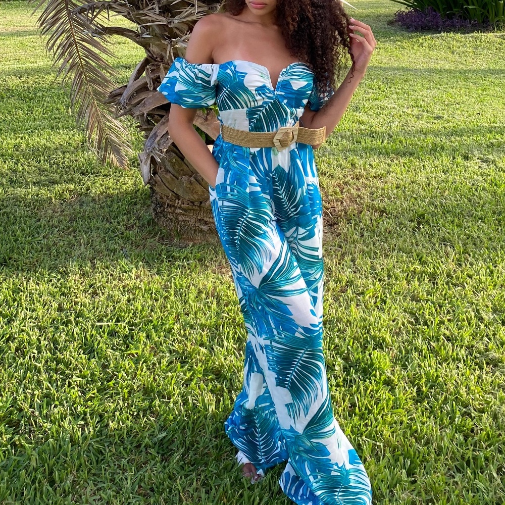 Fashionnova jumpsuit